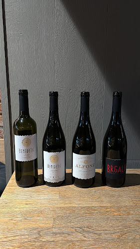 Vinski bar Most - Gastronomija in gostinstvo