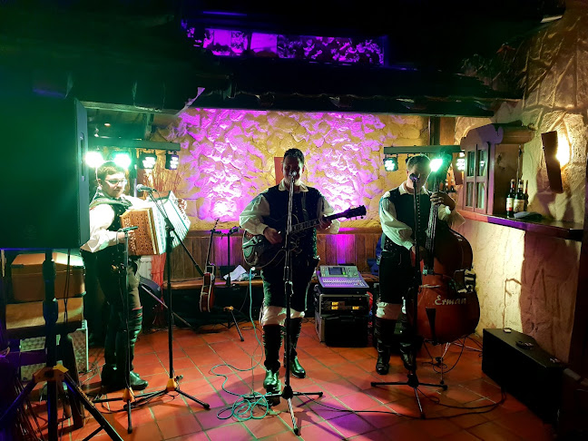 Comentarii opinii despre Gostilna in pizzerija pri Trubarjevi mami