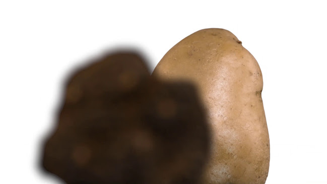 Opinii despre Zigante tartufi în Koper - Gastronomija in gostinstvo