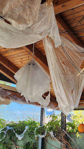 Bar pri Vodnjaku Mi3, gostinstvo, Marta Jeraj s.p. - Gastronomija in gostinstvo