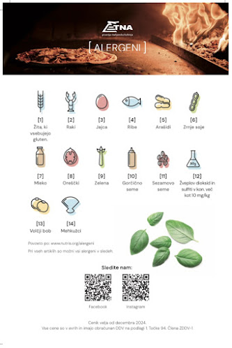 Opinii despre Etna picerija-italijanska kuhinja în Ljubljana - Gastronomija in gostinstvo