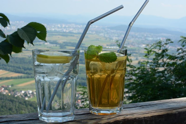 Gostilna Ledinek - Gastronomija in gostinstvo