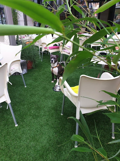 Bežigrajski Vrt - Caffe & Bar