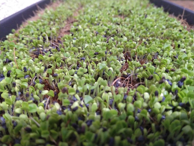 Okrepčevalnica Oskar Luka Mlinarič s.p. - Gastronomija in gostinstvo