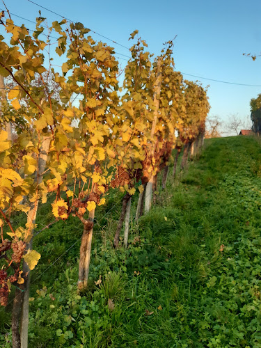 Mala Nedelja 22, 9243 Mala Nedelja