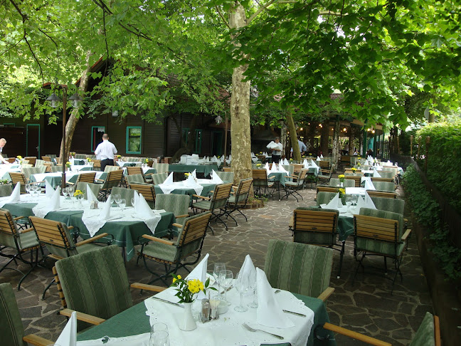 Opinii despre Gostilna Čad în Ljubljana - Gastronomija in gostinstvo