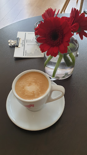 Yogurtlandia Brežice