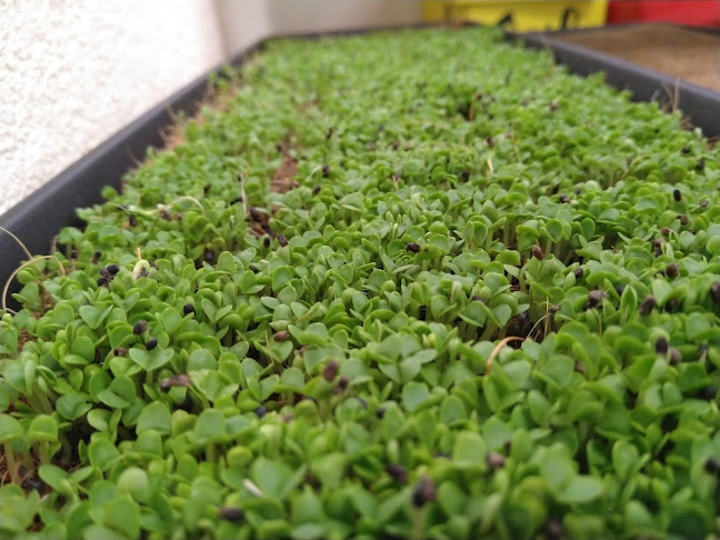 Opinii despre Okrepčevalnica Oskar Luka Mlinarič s.p. în Trbovlje - Gastronomija in gostinstvo