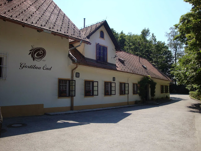 Comentarii opinii despre Gostilna Čad