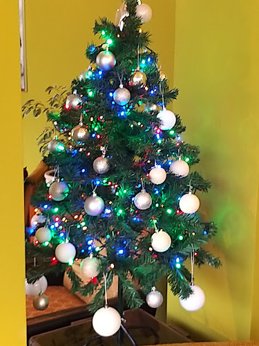 Comentarii opinii despre Kavarna Zofa