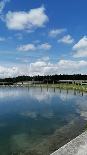 Opinii despre Pohorska picerija in pivnica Planja în Zreče - Gastronomija in gostinstvo