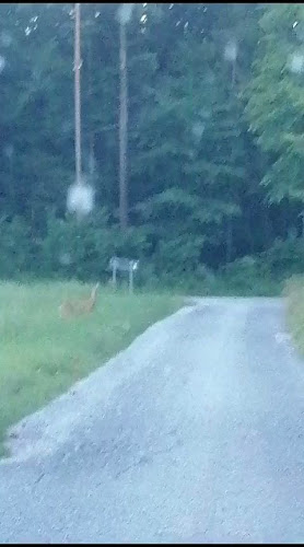 Gostilna s prenočišči pri Janezu - Zgornja Ložnica