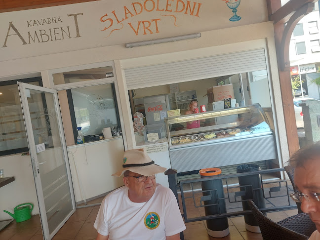 Comentarii opinii despre Ambient