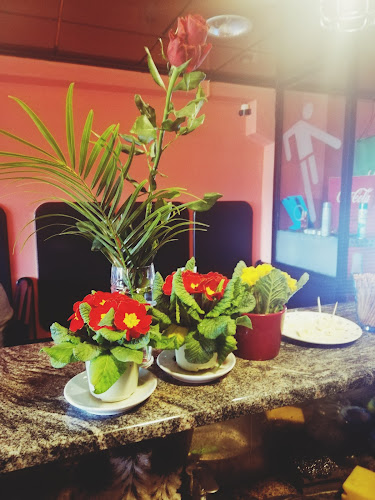 Comentarii opinii despre SONČEK BAR