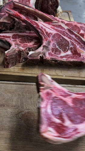 Belvin - Gastronomija in gostinstvo