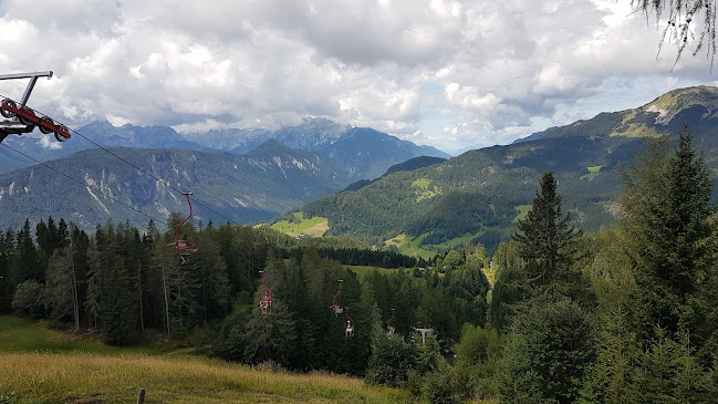 Comentarii opinii despre BAR "ŽIČNICA" , Uroš Tkalec S.P.