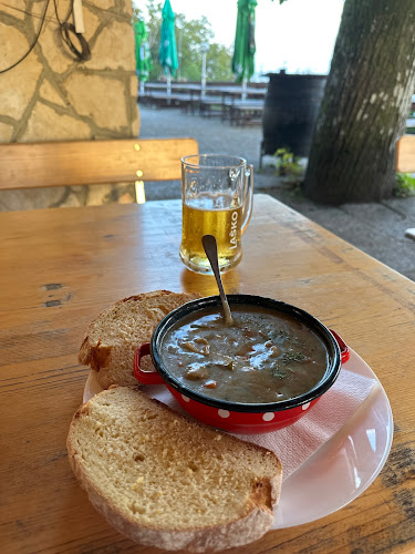 Lisca - Gastronomija in gostinstvo