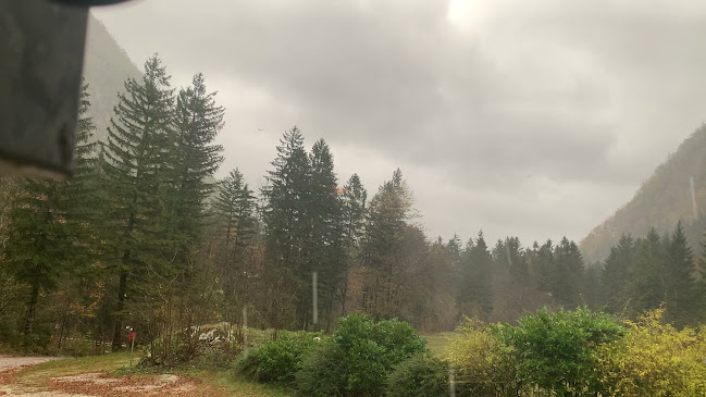 Opinii despre International Piknik Center "Pri Jurju" în Stahovica - Gastronomija in gostinstvo