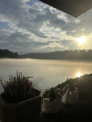 Comentarii opinii despre Gostišče Jezero