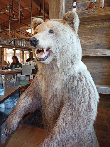 Lovski dom Pr"Slavcu Koče - Gastronomija in gostinstvo