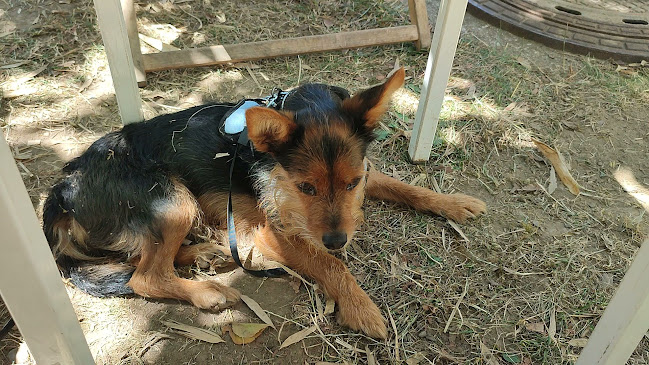 Kavarna SEM - Gastronomija in gostinstvo