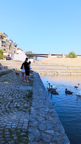 Comentarii opinii despre Kitajska restavracija Zvezda