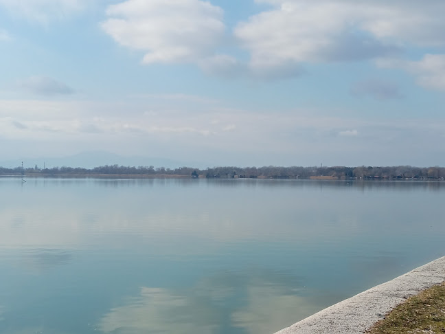 Caffe Malinca, gostinstvo, d.o.o. - Gastronomija in gostinstvo