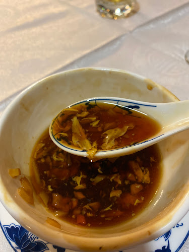 Novi Šanghai - Ljubljana