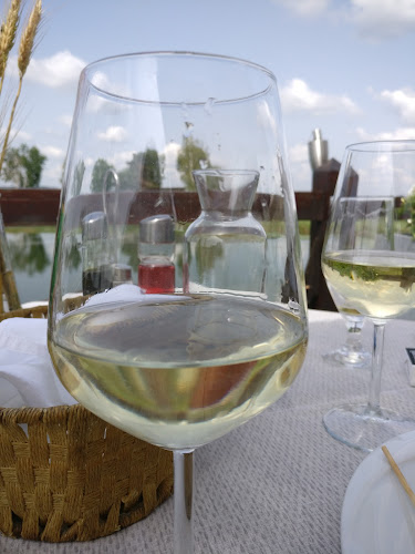 Comentarii opinii despre Oaza GRILL