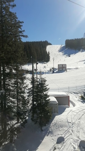 PICERIJA ZLATI ŠKORPIJON - Vanja Perc s.p.