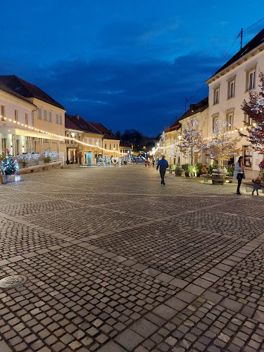 Arkade bar Novo mesto - Gastronomija in gostinstvo