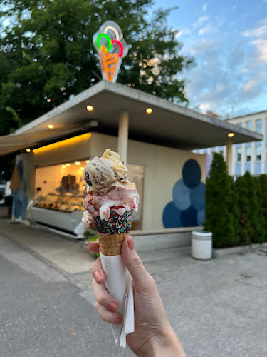 Lastovka pri SERŠ-u - Maribor - Maribor