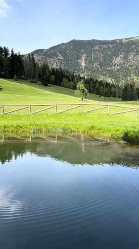 Opinii despre Dom Pristava în Jesenice - Gastronomija in gostinstvo