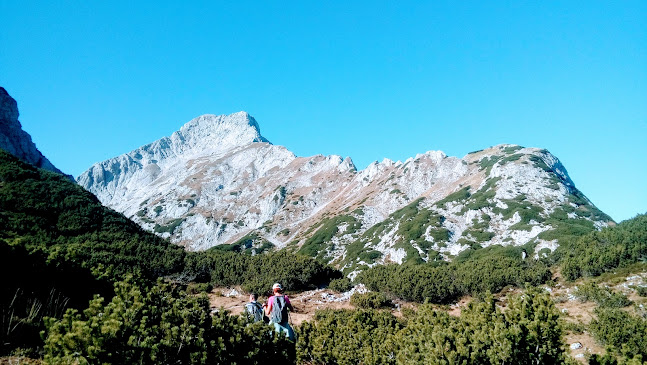 Opinii despre Bar pri Gamsu în Luče - Gastronomija in gostinstvo