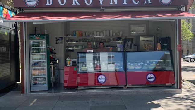 Slaščičarna Borovnica