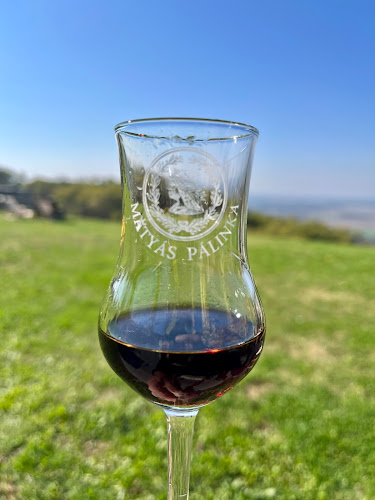 Opinii despre Okrepčevalnica Sini în Lendava - Gastronomija in gostinstvo