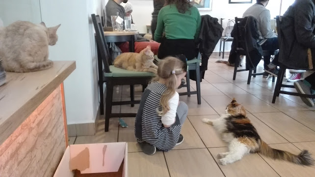 Hrenova ulica 19, 1000 Ljubljana, Slovenija