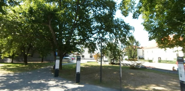 Fontana piva Žalec - Žalec