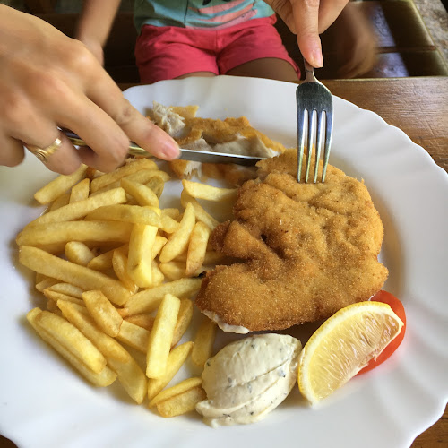 Comentarii opinii despre Gostilna in picerija "Za Tun'co"