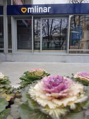 Opinii despre Mlinar în Novo mesto - Gastronomija in gostinstvo