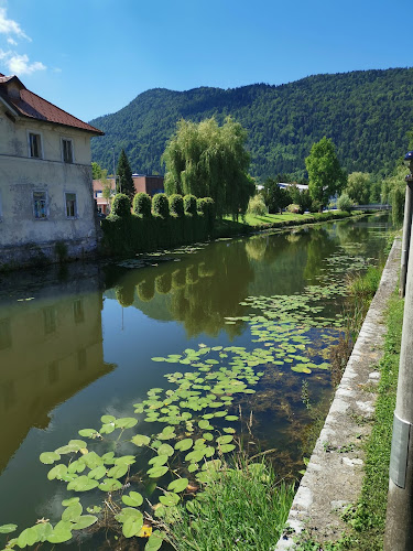 Cirus Bar & Lounge - Gastronomija in gostinstvo