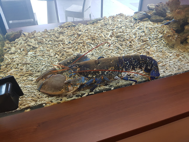 Slovenska cesta 19, 1000 Ljubljana