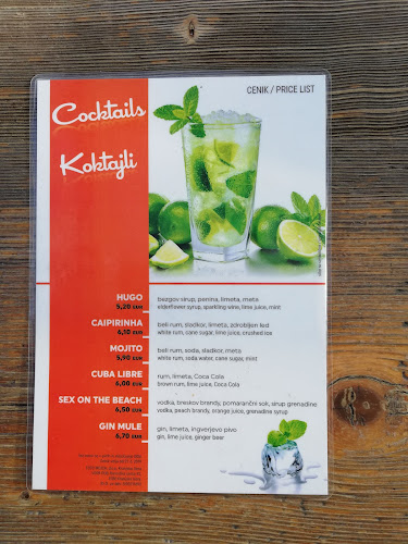 Opinii despre Vopa Pub în Kranjska Gora - Gastronomija in gostinstvo