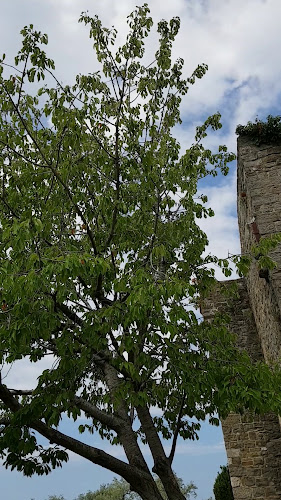 Opinii despre Piranček beach bar în Piran - Gastronomija in gostinstvo