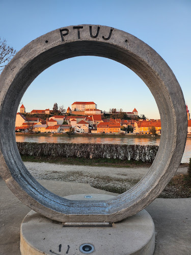 Gostilna Ribič - Ptuj