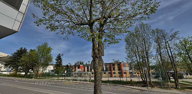 KAVARNA SIESTA, Petra Grah s.p.