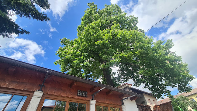 Opinii despre Bar Brne în Postojna - Gastronomija in gostinstvo