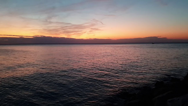 Opinii despre Ribja kantina pri Polonci în Piran - Gastronomija in gostinstvo