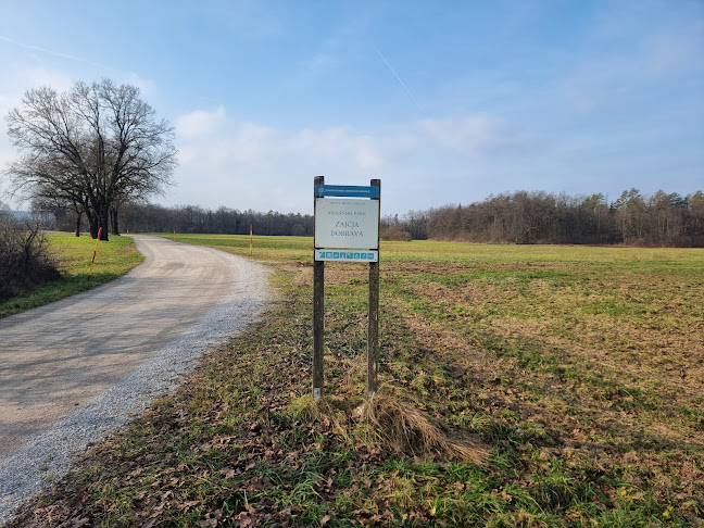 Zajčja dobrava - Gastronomija in gostinstvo