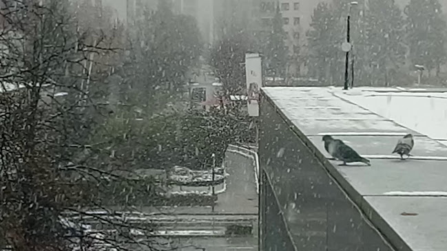 Kavarna nova Damjan Vodošek s.p.